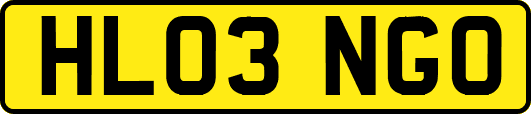 HL03NGO