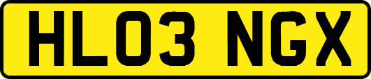 HL03NGX