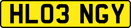 HL03NGY