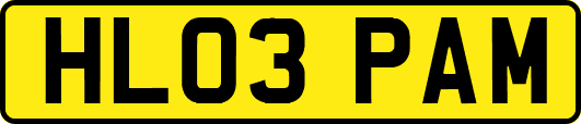 HL03PAM