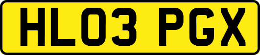 HL03PGX