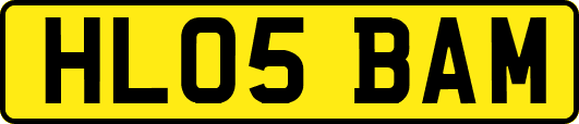 HL05BAM