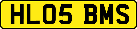 HL05BMS