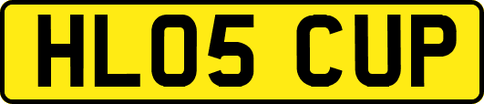 HL05CUP
