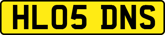 HL05DNS