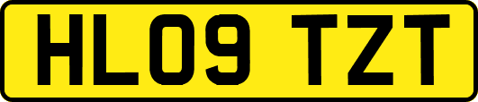 HL09TZT