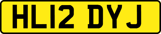 HL12DYJ