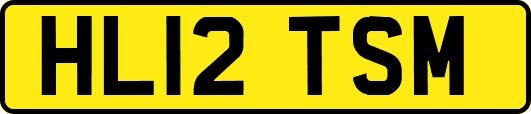 HL12TSM
