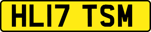 HL17TSM