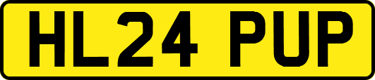 HL24PUP