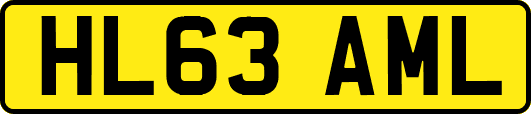 HL63AML
