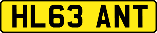 HL63ANT