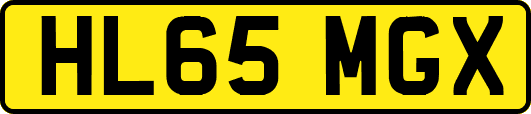 HL65MGX