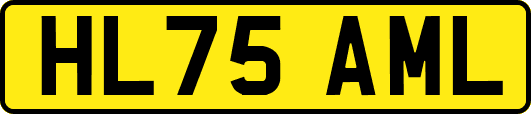 HL75AML