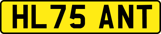 HL75ANT