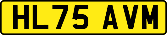 HL75AVM