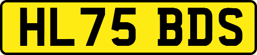 HL75BDS