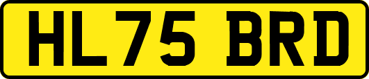 HL75BRD