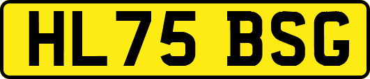 HL75BSG