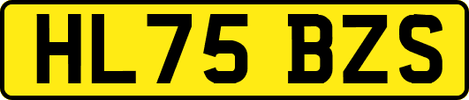 HL75BZS