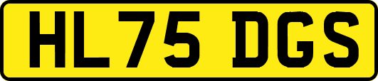 HL75DGS