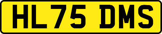 HL75DMS