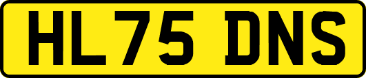 HL75DNS