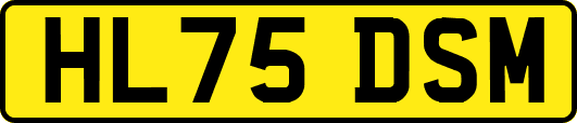 HL75DSM
