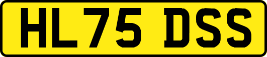 HL75DSS