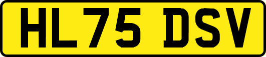 HL75DSV