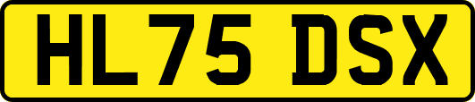 HL75DSX