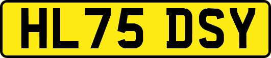 HL75DSY