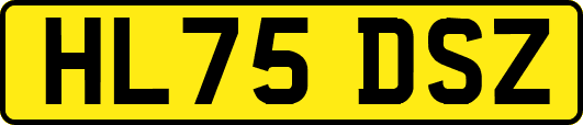 HL75DSZ
