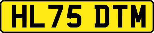 HL75DTM