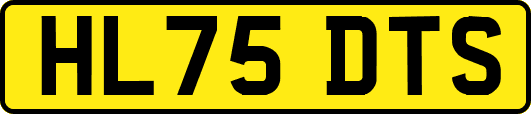 HL75DTS