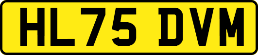 HL75DVM