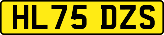 HL75DZS
