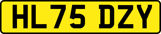 HL75DZY