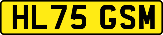 HL75GSM