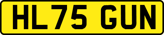 HL75GUN
