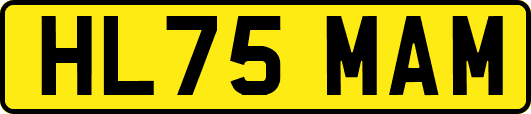 HL75MAM