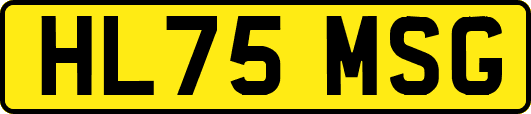HL75MSG