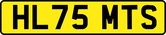 HL75MTS