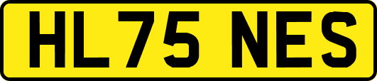 HL75NES