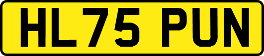 HL75PUN