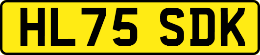 HL75SDK