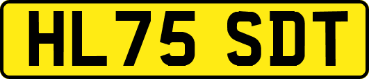 HL75SDT