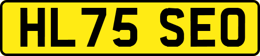 HL75SEO