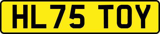 HL75TOY