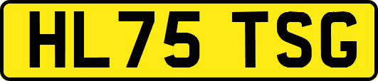HL75TSG